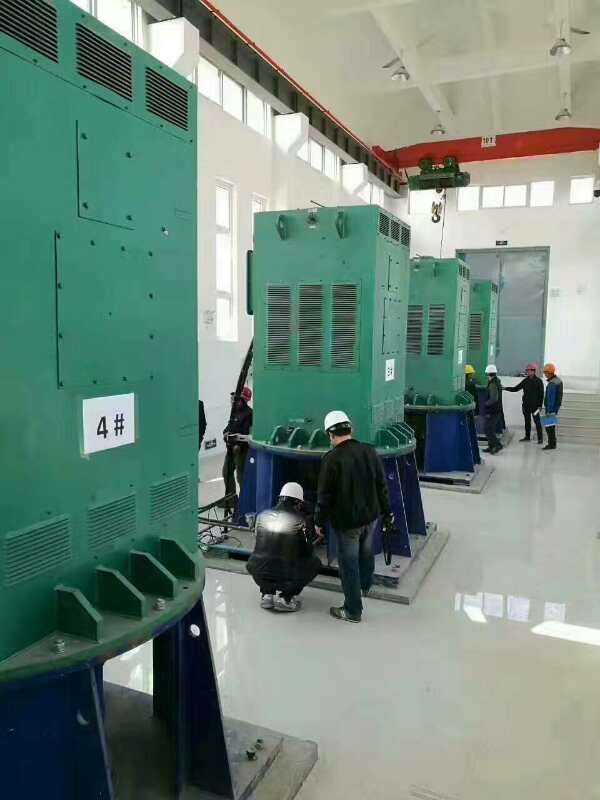 阳东某污水处理厂使用我厂的立式高压电机安装现场哪家好